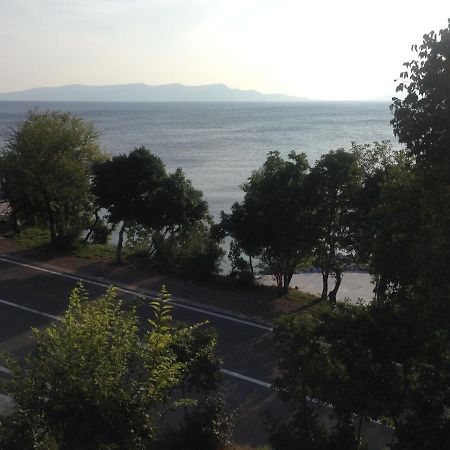 Apartment Marina Senj Сень Экстерьер фото